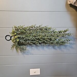 Hanging wall planter and fake greeney